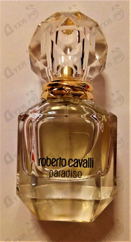 roberto cavalli paradiso douglas